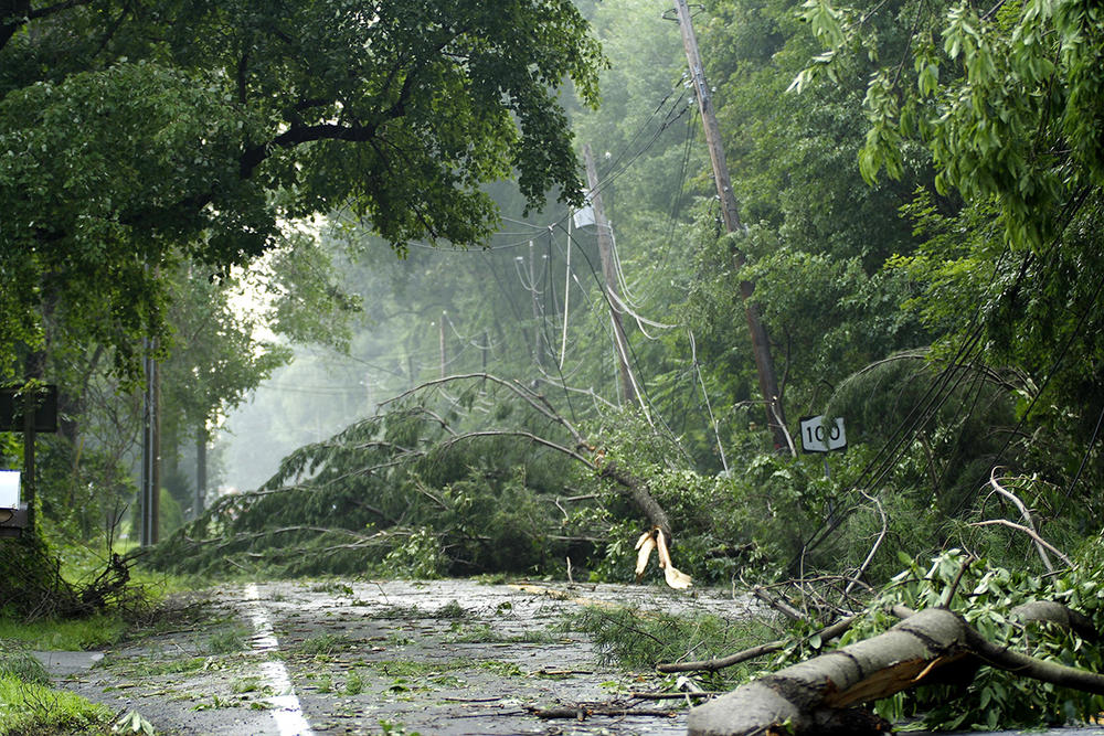 Image of downed trees after a storm